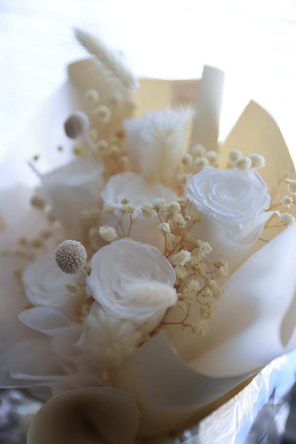 Latte Preserved Roses