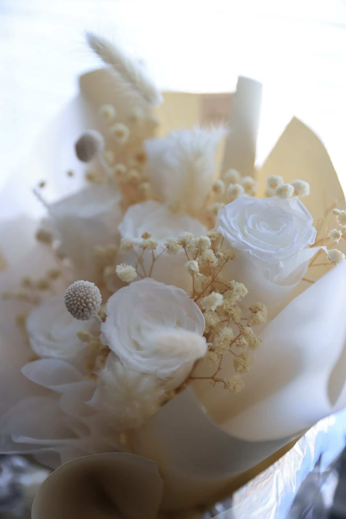 Latte Preserved Roses