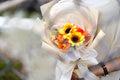 Sunflower with Beige and Orange