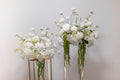 Elegant White Golden Stand - Rental