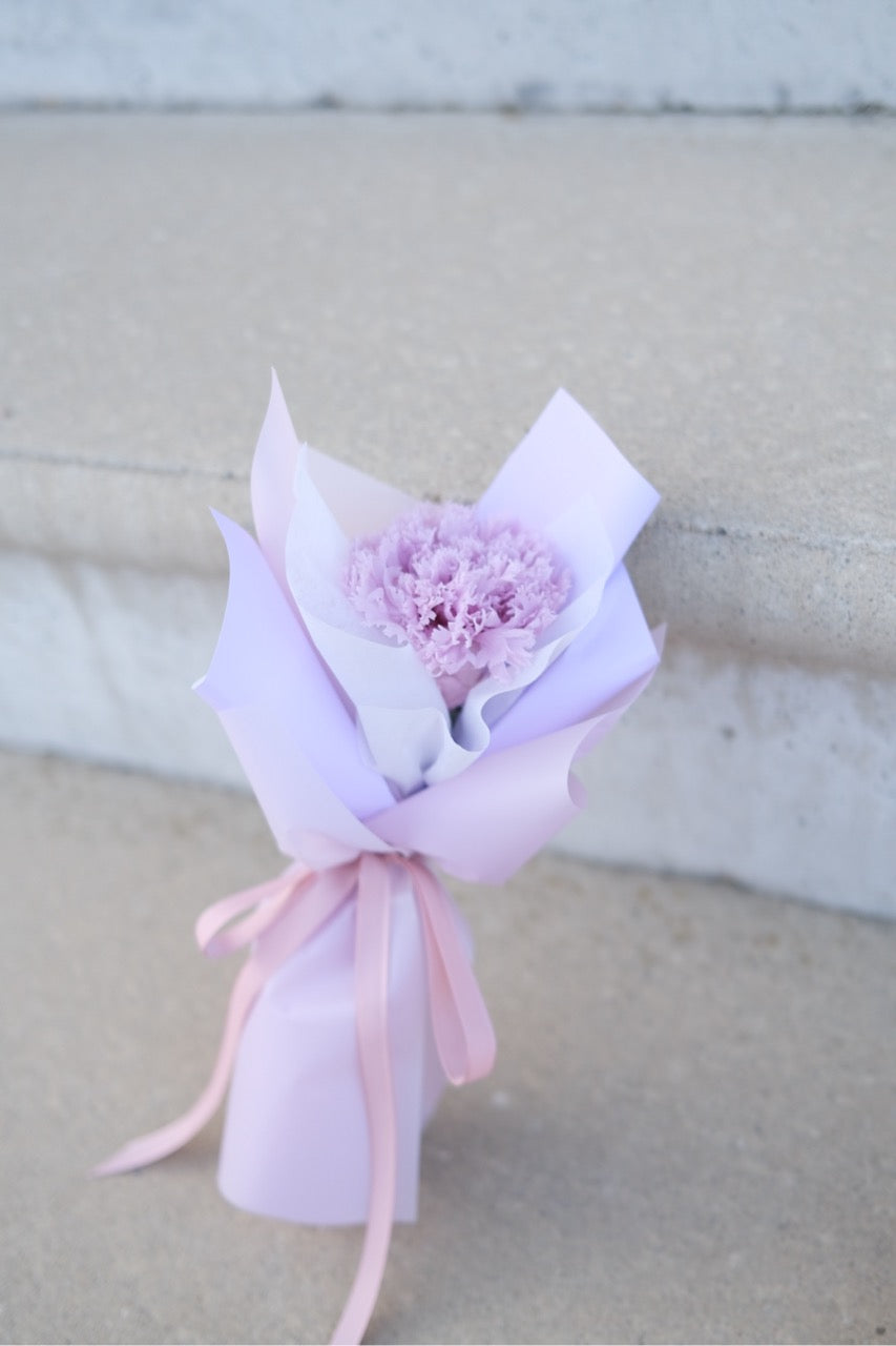 Single Preserved Carnation