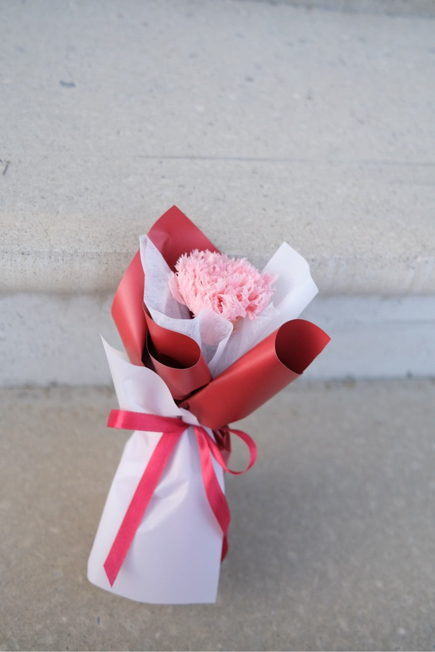 Single Preserved Carnation