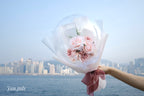 Blush Pink Bubble
