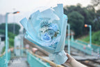 Sky Blue Bubble