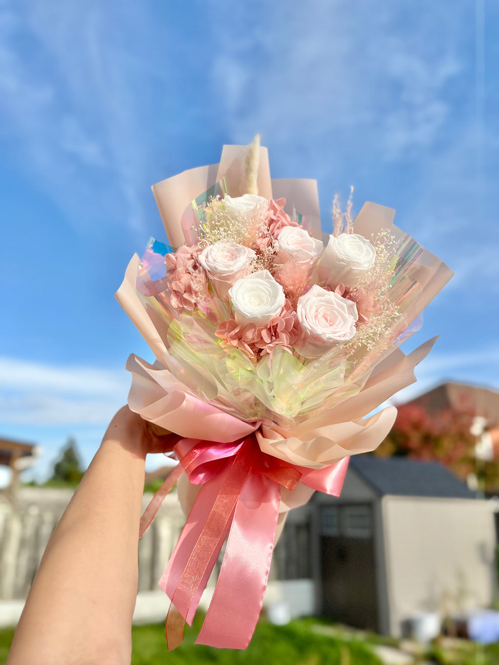 Blush Preserved Roses